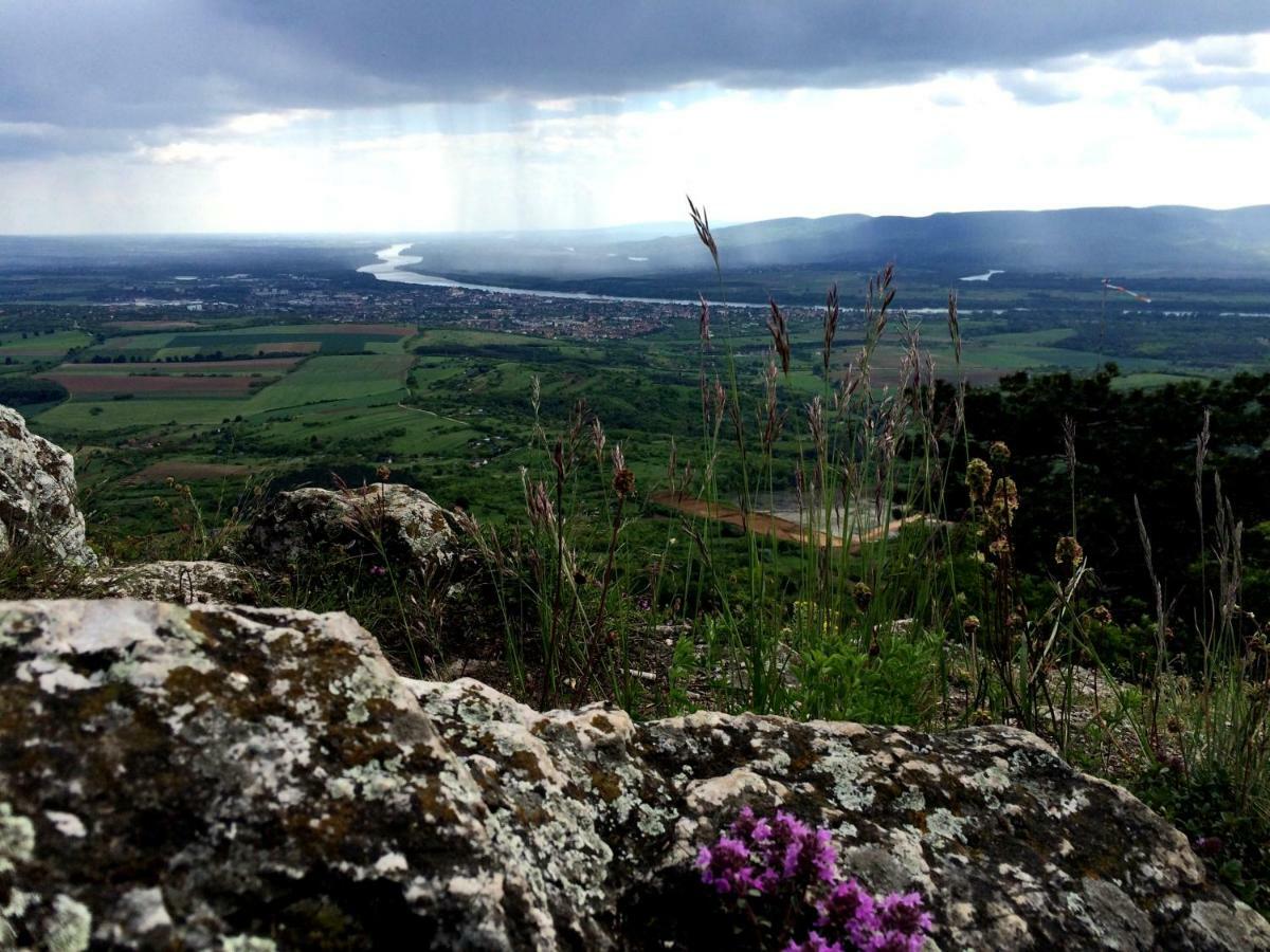 Vatus Apartmanhaz Vác Buitenkant foto
